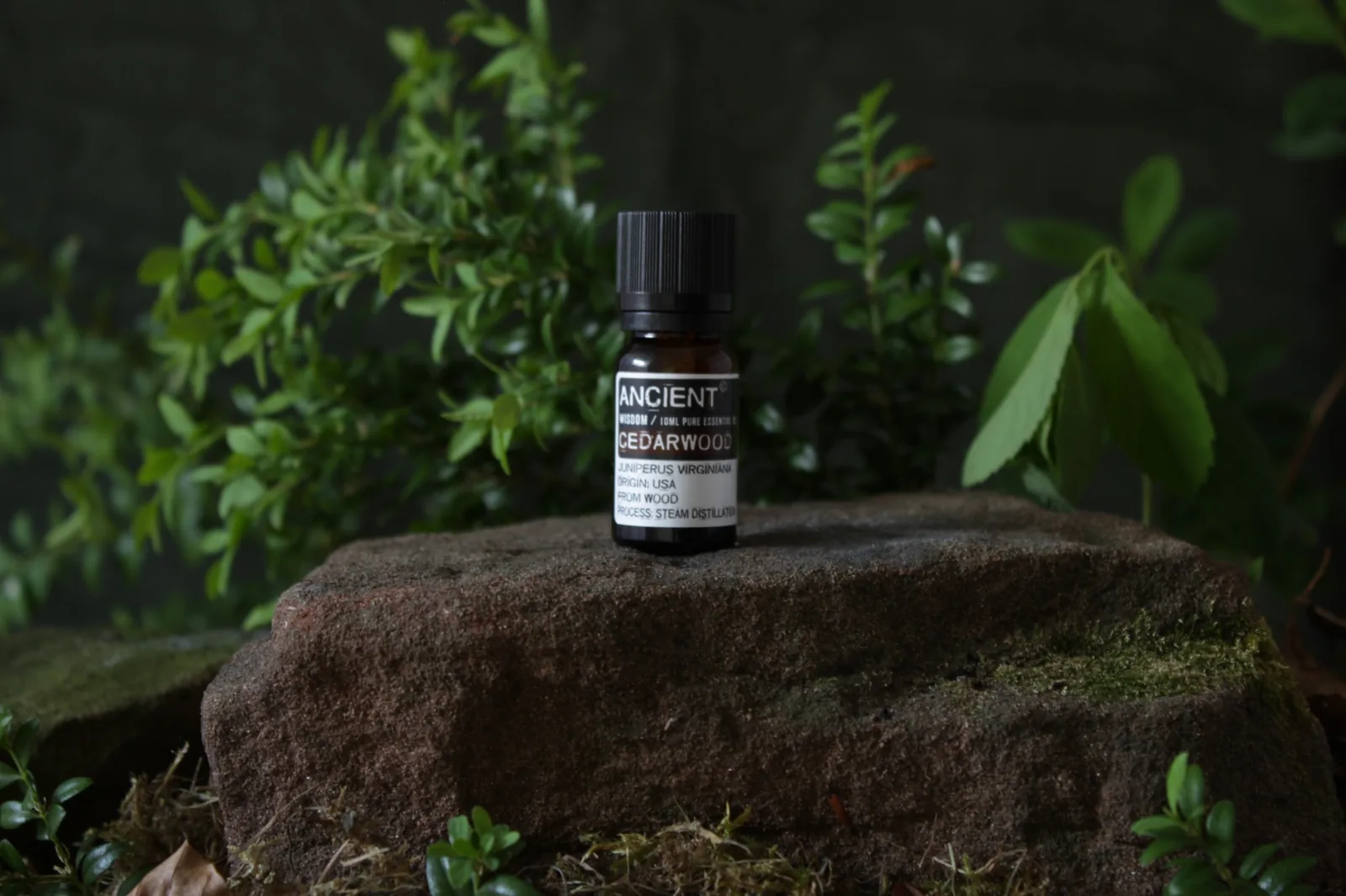 Cedarwood essential oil bottle