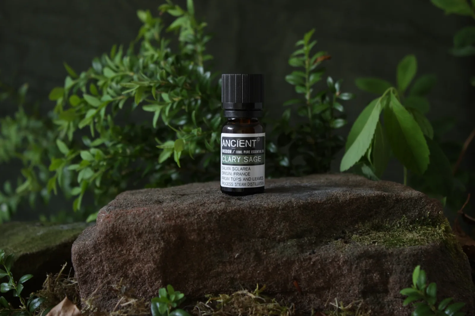 Clary Sage essential oil bottle