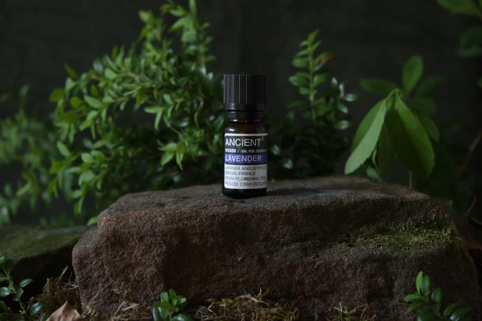 Lavender essential oil bottle
