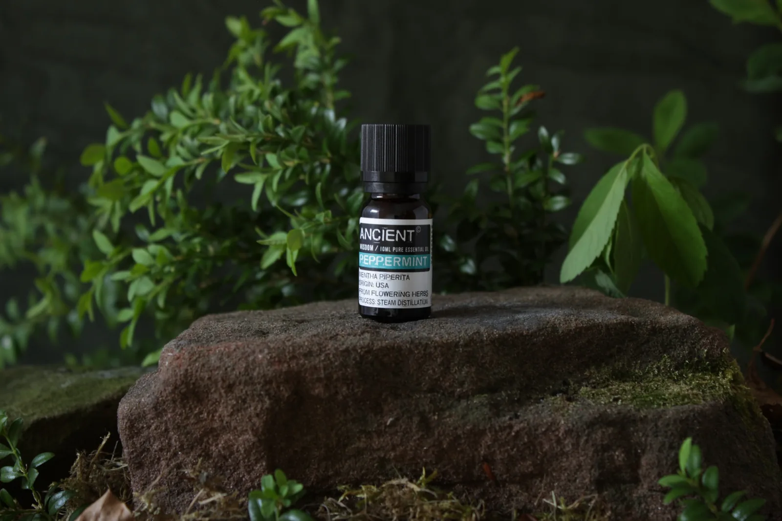 Peppermint essential oil bottle