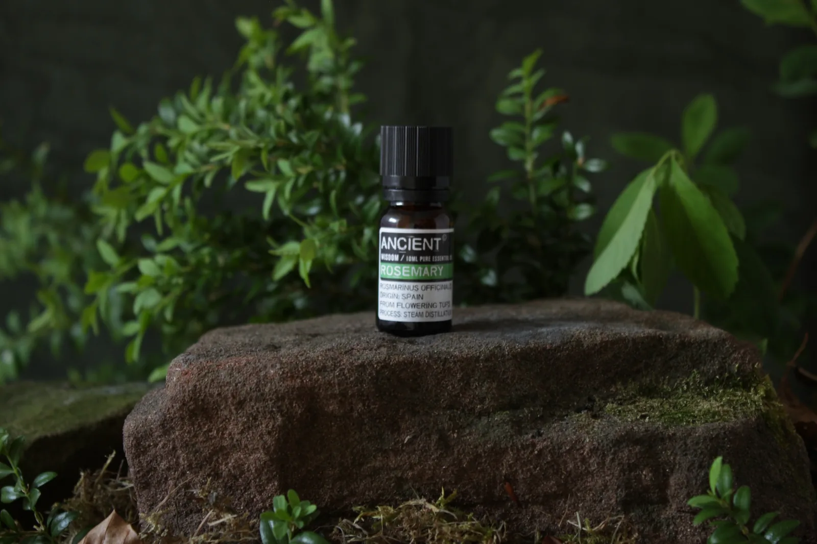 Rosemary essential oil bottle